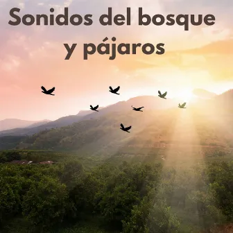 Sonidos del bosque y pájaros by Sonidos De La Selva