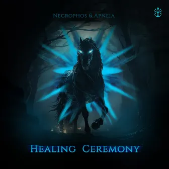 Healing Ceremony by Apneia