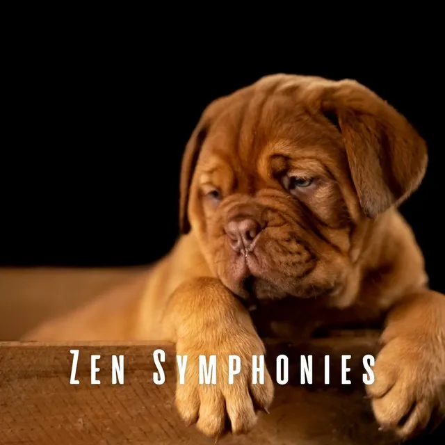 Zen Symphonies: Ambient Music for Dogs