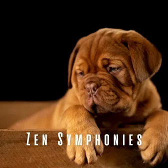 Zen Symphonies: Ambient Music for Dogs by Hello Soundz