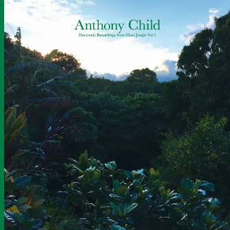 Electronic Recordings from Maui Jungle, Vol. 1 by Anthony Child