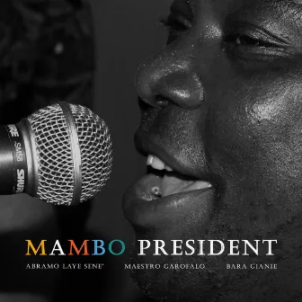 Mambo President by Maestro Garofalo