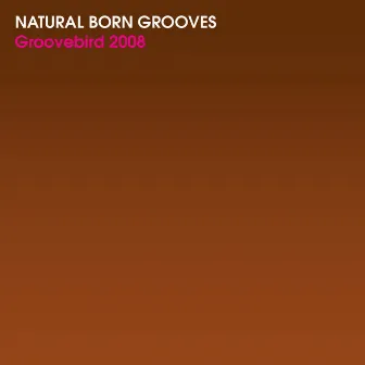 Groovebird 2008 by Natural Born Grooves