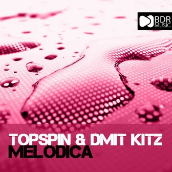 Melodica by Dmit Kitz