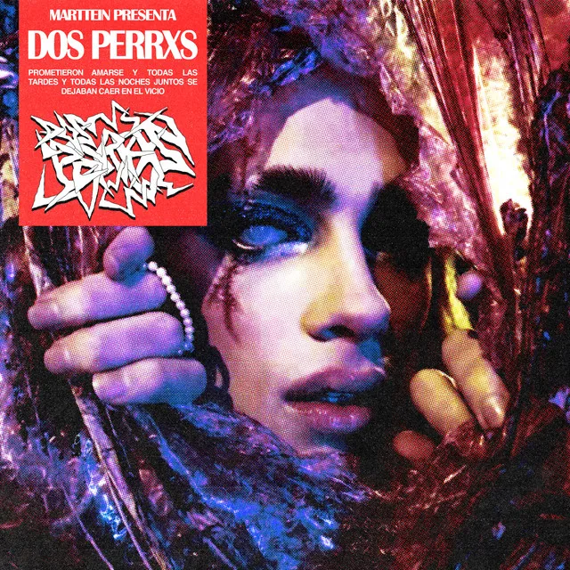 Dos Perrxs