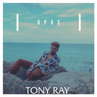 OPUS by Tony Ray