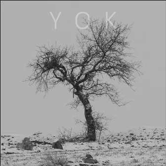 YOK by Barla