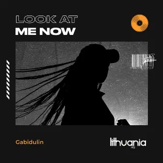 Look at Me Now by Gabidulin