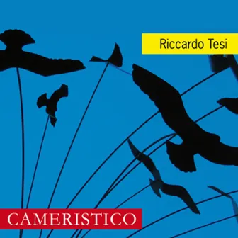 Cameristico by Riccardo Tesi