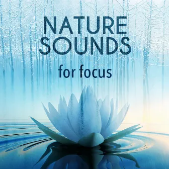 Nature Sounds for Focus by Green Nature SPA