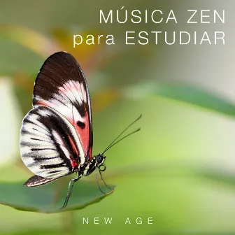 Música Zen para Estudiar by Wellness Shades