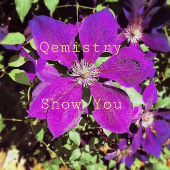 Show You by Qemistry