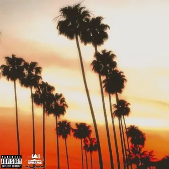 Sunset Blvd by Hondeaux