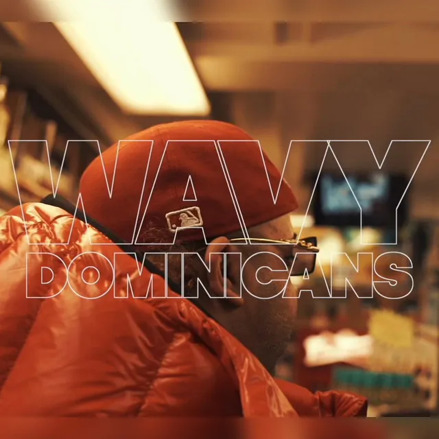 WAVYDOMINICANS (feat. The Hidden Character & BoriRock)