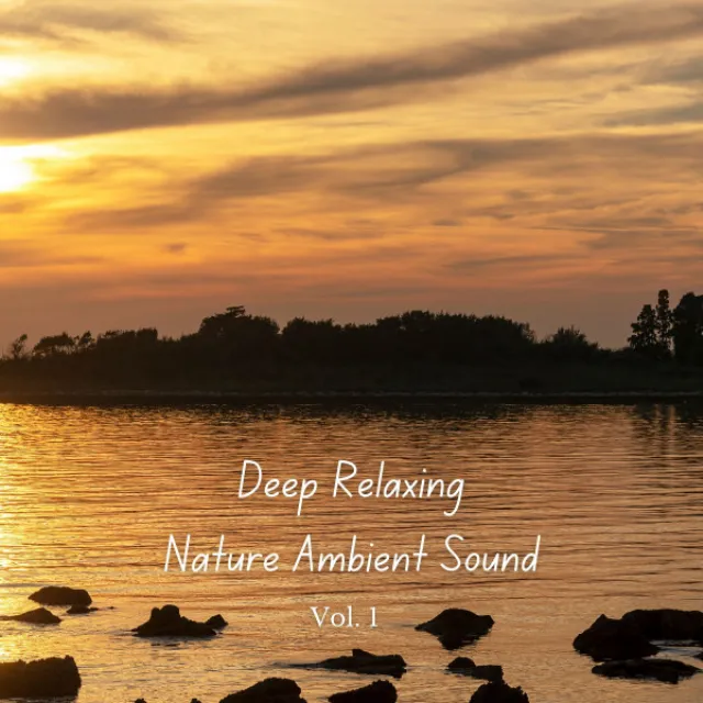 Mastering Mindfulness with Nature Sounds