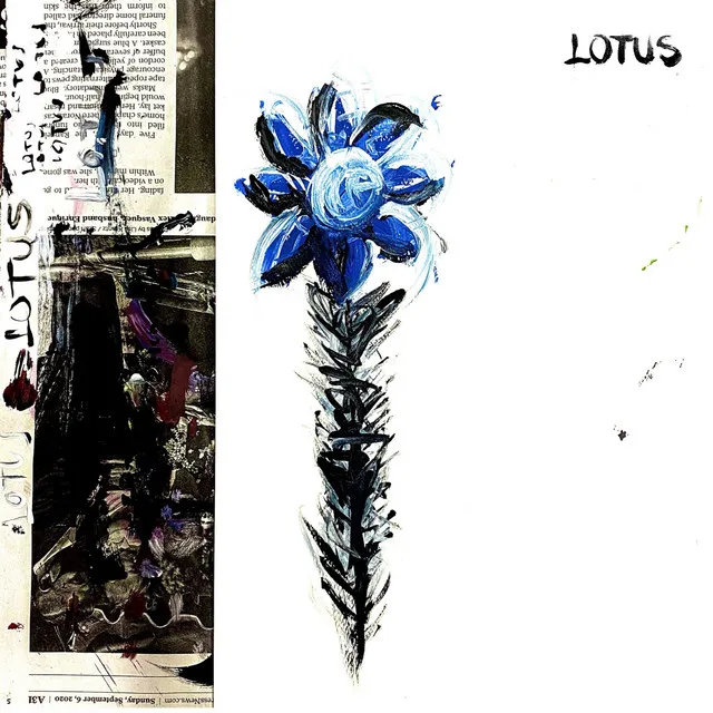 Lotus