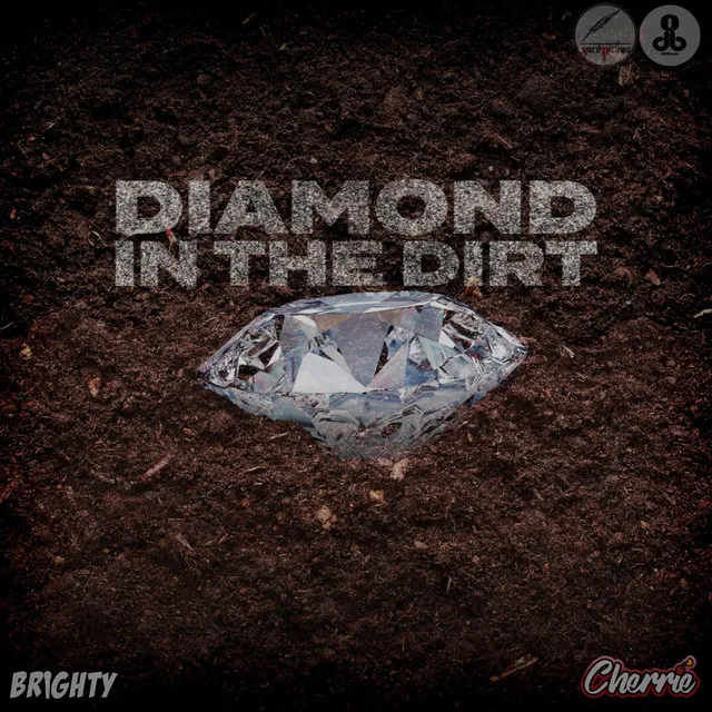 Diamond In The Dirt