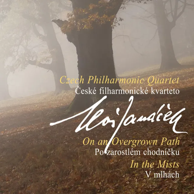 In the Mists, JW VIII/22 (Arr. T. Ille for String Quartet): II. Molto adagio