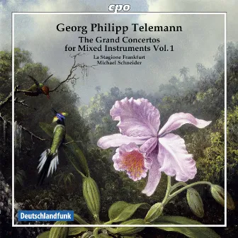 Telemann: Grand Concertos, Vol. 1 by Michael Schneider