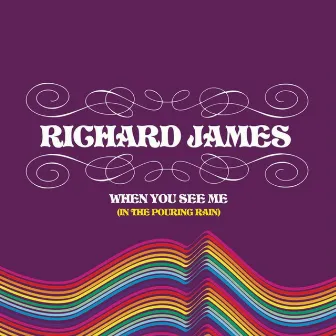 When You See Me (In The Pouring Rain) by Richard James