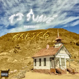 Calico by TJ $uavé