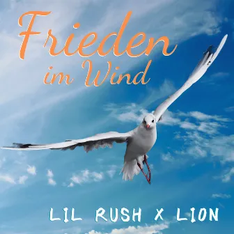 Frieden im Wind by LION