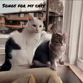 Songs For My Cats by TOPOH