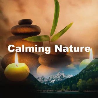 Calming Nature by Morning Meditation Music Academy