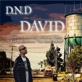 David by D.N.D