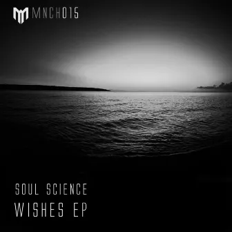 Wishes by Soul Science