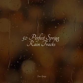 50 Perfect Spring Rain Tracks by Rain For Deep Sleep