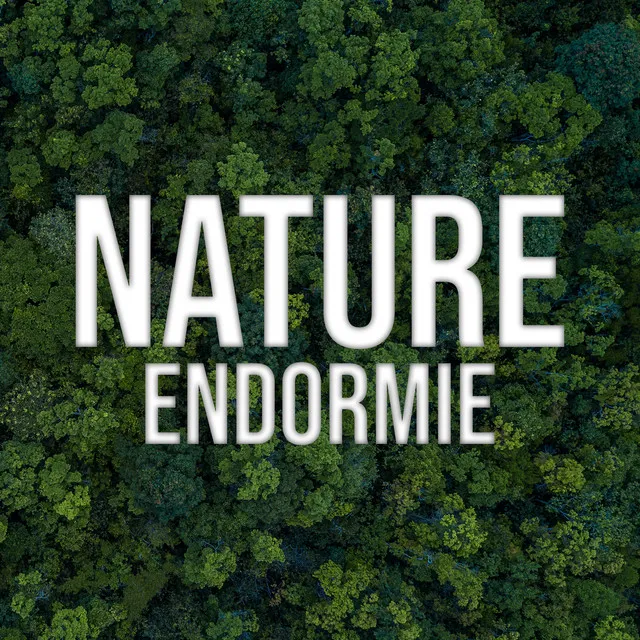 Nature endormie: Musique de relaxation nocturne, Sons de la nature endormie, Temps de soulagement