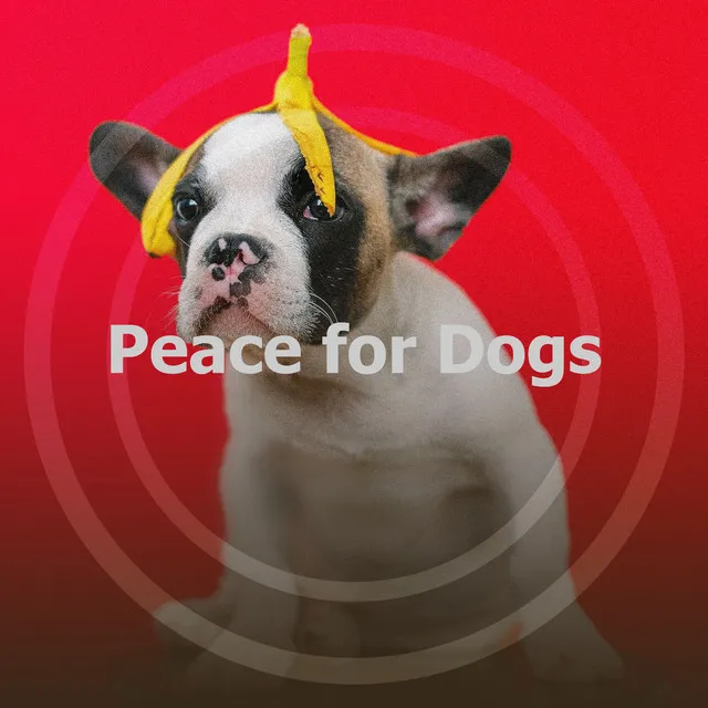 Peace for Dogs