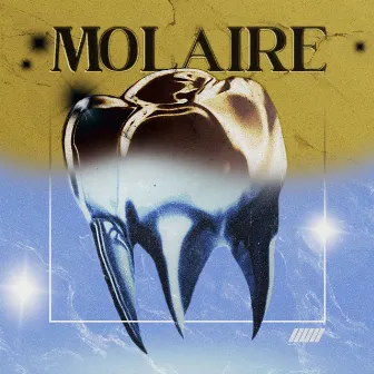 Molaire by Almanach