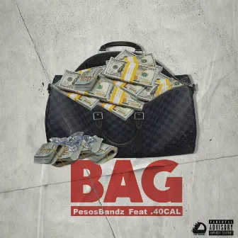 Bag by PesosBandz