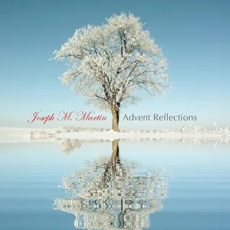 Advent Reflections by Joseph M. Martin