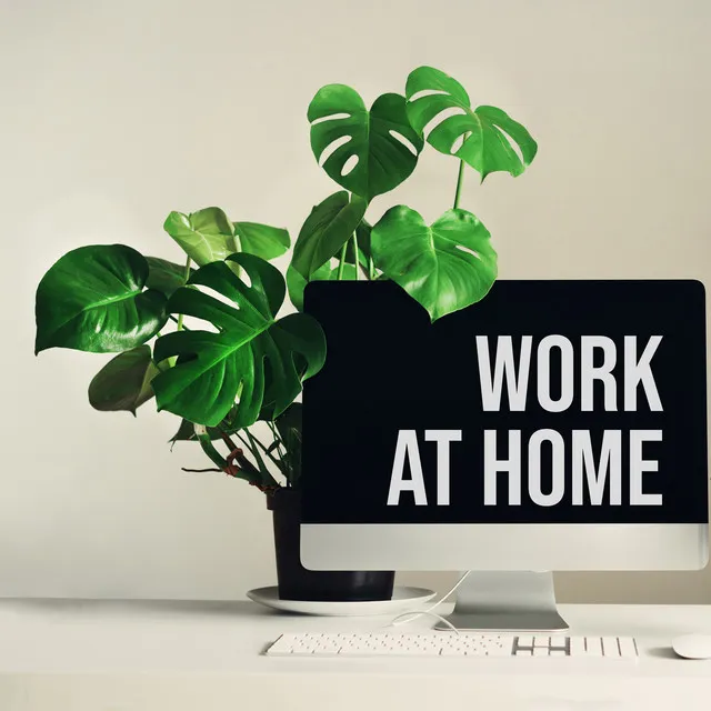 Work at Home