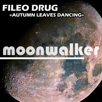 Autumn Leaves Dancing - Single by Fileo Drug