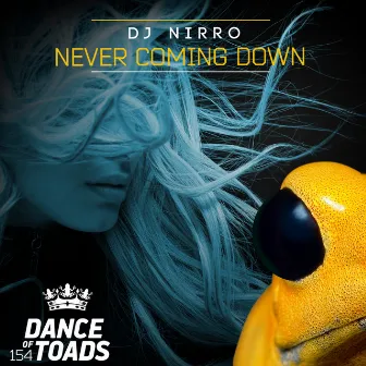 Never Coming Down by DJ Nirro