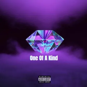 One Of A Kind by Cheddar Josh