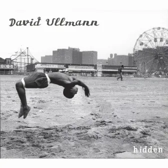 Hidden by David Ullmann