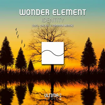 Identity by Wonder Element