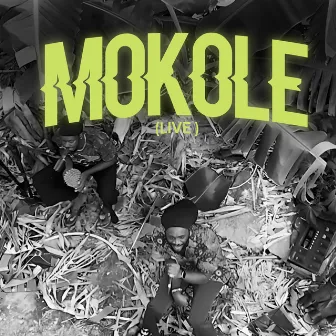 Mokole (Live) by Nkyinkyim Band