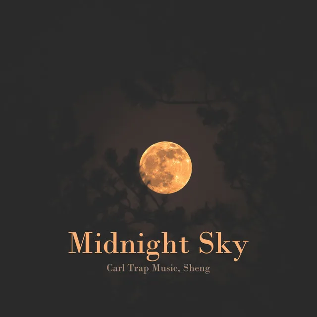 Midnight Sky