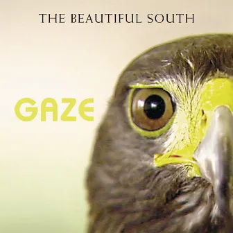 Gaze by The Beautiful South