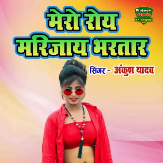 Mero Roy Marijaay Bhartar (Hindi) by Ankush Yadav