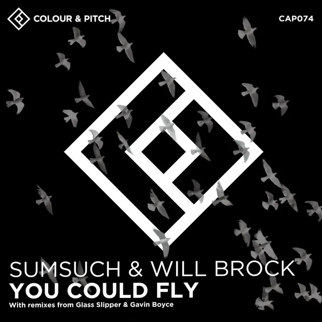 You Could Fly - Gavin Boyce Remix