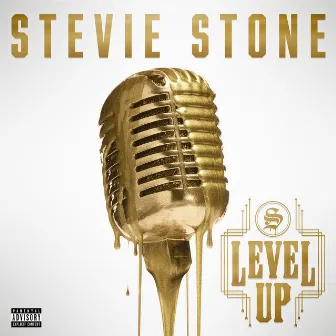 Level Up by Stevie Stone