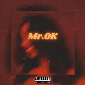 Mr.Ok by 17nights