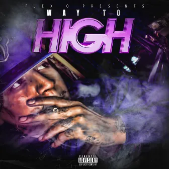 Way To High by Flexo